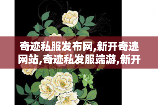 奇迹私服发布网,新开奇迹网站,奇迹私发服端游,新开奇迹网站