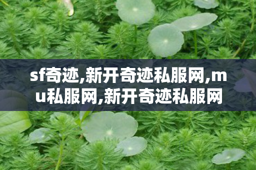 sf奇迹,新开奇迹私服网,mu私服网,新开奇迹私服网