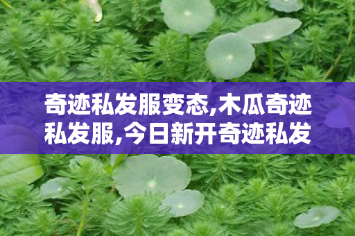 奇迹私发服变态,木瓜奇迹私发服,今日新开奇迹私发服网,木瓜奇迹私发服