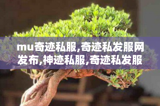mu奇迹私服,奇迹私发服网发布,神迹私服,奇迹私发服网发布