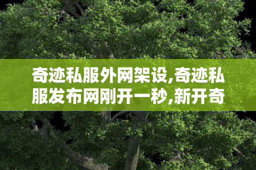奇迹私服外网架设,奇迹私服发布网刚开一秒,新开奇迹私服,奇迹私服发布网刚开一秒