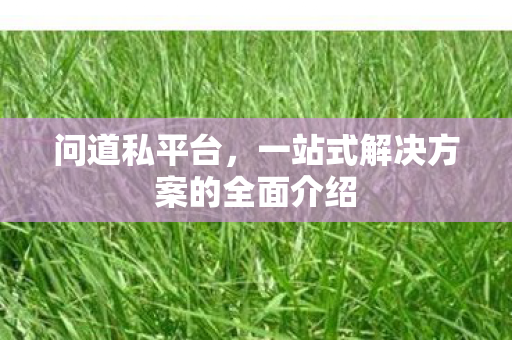 问道私平台，一站式解决方案的全面介绍