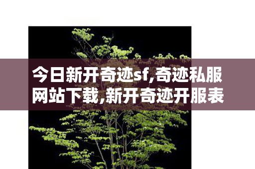 今日新开奇迹sf,奇迹私服网站下载,新开奇迹开服表,奇迹私服网站下载
