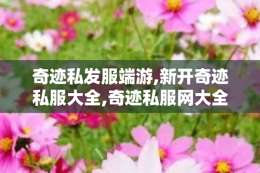 奇迹私发服端游,新开奇迹私服大全,奇迹私服网大全,新开奇迹私服大全