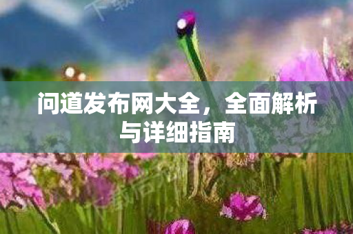 问道发布网大全，全面解析与详细指南