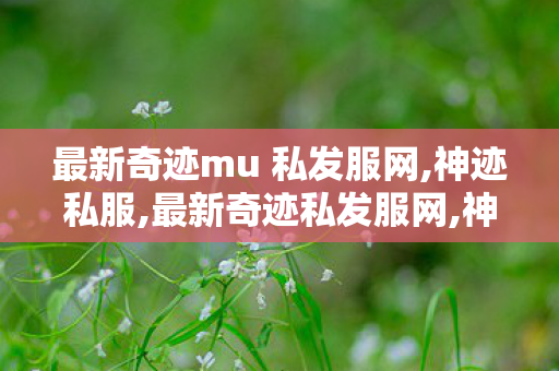 最新奇迹mu 私发服网,神迹私服,最新奇迹私发服网,神迹私服