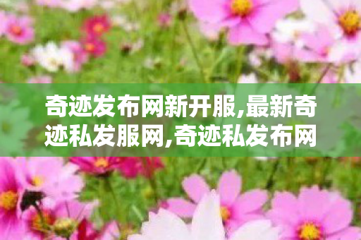 奇迹发布网新开服,最新奇迹私发服网,奇迹私发布网,最新奇迹私发服网