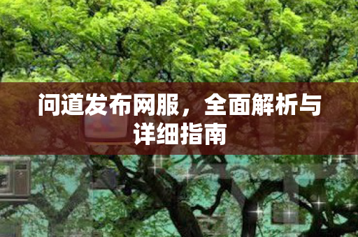 问道发布网服，全面解析与详细指南
