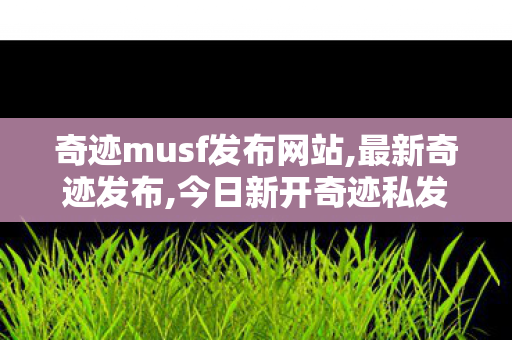 奇迹musf发布网站,最新奇迹发布,今日新开奇迹私发服网,最新奇迹发布