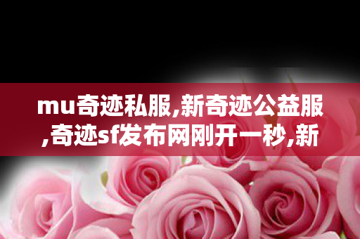 mu奇迹私服,新奇迹公益服,奇迹sf发布网刚开一秒,新奇迹公益服