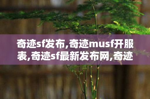 奇迹sf发布,奇迹musf开服表,奇迹sf最新发布网,奇迹musf开服表