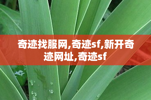 奇迹找服网,奇迹sf,新开奇迹网址,奇迹sf