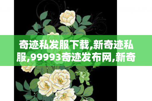 奇迹私发服下载,新奇迹私服,99993奇迹发布网,新奇迹私服