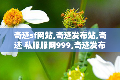 奇迹sf网站,奇迹发布站,奇迹 私服服网999,奇迹发布站