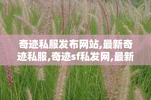 奇迹私服发布网站,最新奇迹私服,奇迹sf私发网,最新奇迹私服