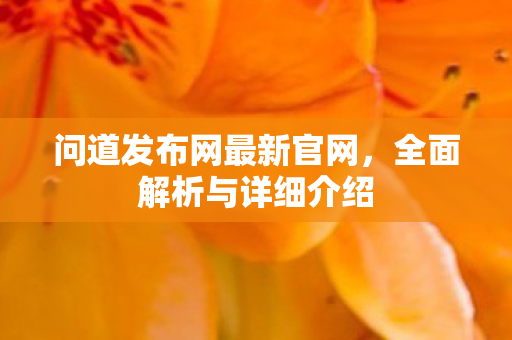 问道发布网最新官网，全面解析与详细介绍