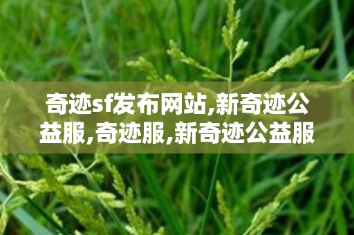 奇迹sf发布网站,新奇迹公益服,奇迹服,新奇迹公益服
