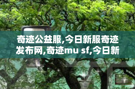 奇迹公益服,今日新服奇迹发布网,奇迹mu sf,今日新服奇迹发布网