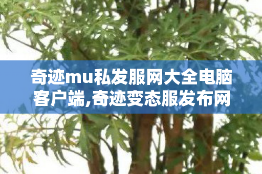 奇迹mu私发服网大全电脑客户端,奇迹变态服发布网,奇迹musf开服表,奇迹变态服发布网