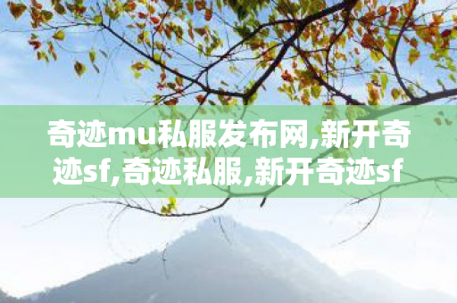 奇迹mu私服发布网,新开奇迹sf,奇迹私服,新开奇迹sf