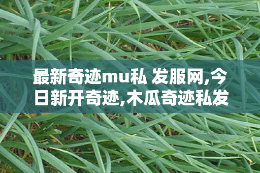 最新奇迹mu私 发服网,今日新开奇迹,木瓜奇迹私发服,今日新开奇迹