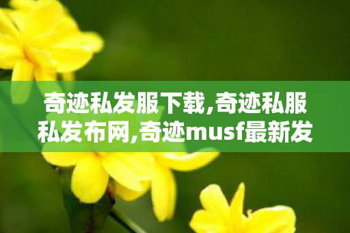 奇迹私发服下载,奇迹私服私发布网,奇迹musf最新发布网,奇迹私服私发布网