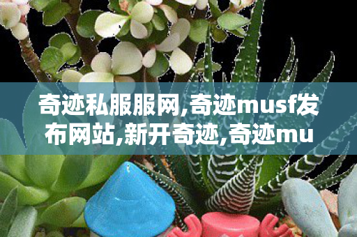 奇迹私服服网,奇迹musf发布网站,新开奇迹,奇迹musf发布网站