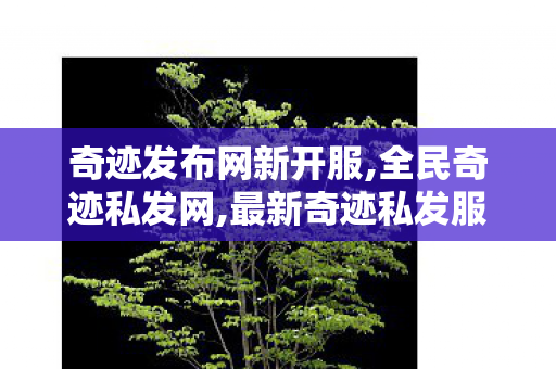 奇迹发布网新开服,全民奇迹私发网,最新奇迹私发服网,全民奇迹私发网
