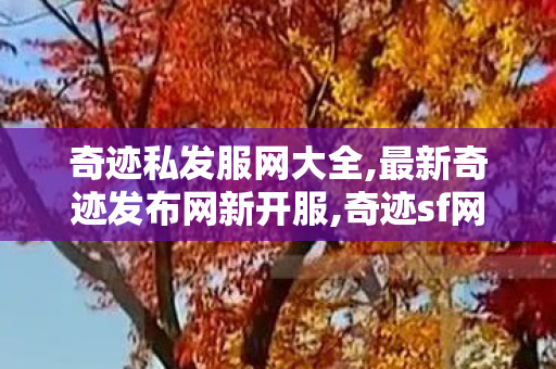 奇迹私发服网大全,最新奇迹发布网新开服,奇迹sf网站,最新奇迹发布网新开服