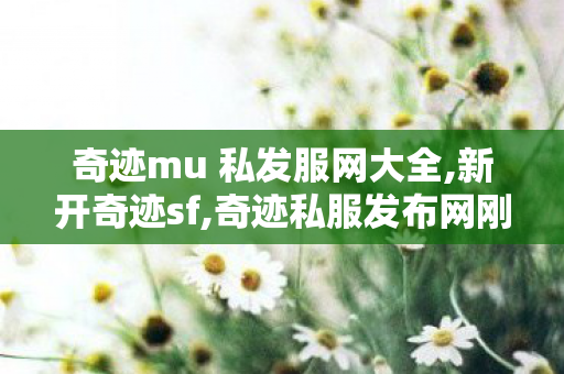 奇迹mu 私发服网大全,新开奇迹sf,奇迹私服发布网刚开一秒,新开奇迹sf