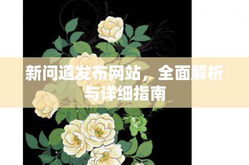 新问道发布网站，全面解析与详细指南