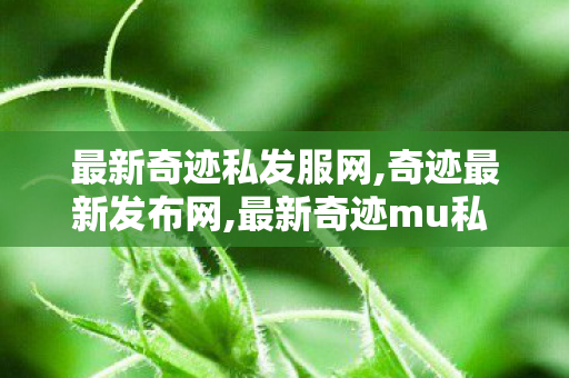 最新奇迹私发服网,奇迹最新发布网,最新奇迹mu私 发服网,奇迹最新发布网