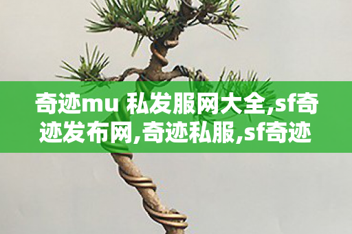 奇迹mu 私发服网大全,sf奇迹发布网,奇迹私服,sf奇迹发布网