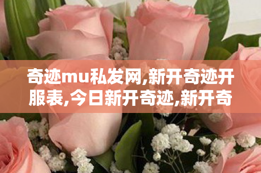 奇迹mu私发网,新开奇迹开服表,今日新开奇迹,新开奇迹开服表