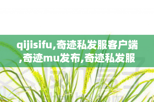qijisifu,奇迹私发服客户端,奇迹mu发布,奇迹私发服客户端