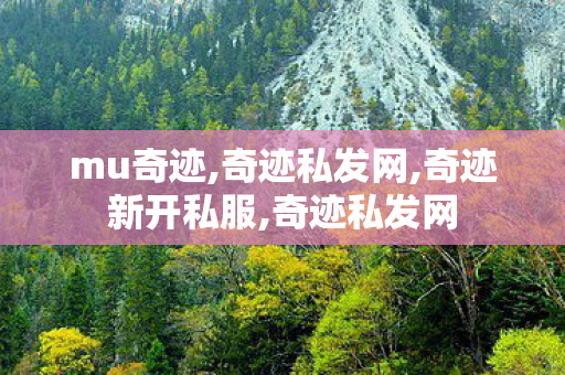 mu奇迹,奇迹私发网,奇迹新开私服,奇迹私发网