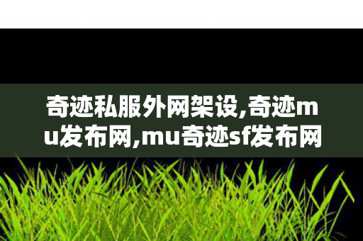 奇迹私服外网架设,奇迹mu发布网,mu奇迹sf发布网,奇迹mu发布网