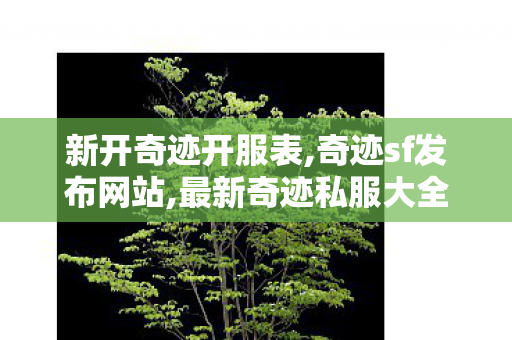 新开奇迹开服表,奇迹sf发布网站,最新奇迹私服大全,奇迹sf发布网站