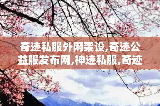 奇迹私服外网架设,奇迹公益服发布网,神迹私服,奇迹公益服发布网