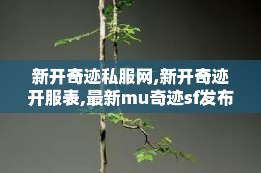 新开奇迹私服网,新开奇迹开服表,最新mu奇迹sf发布,新开奇迹开服表