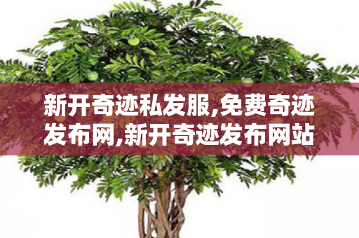 新开奇迹私发服,免费奇迹发布网,新开奇迹发布网站,免费奇迹发布网