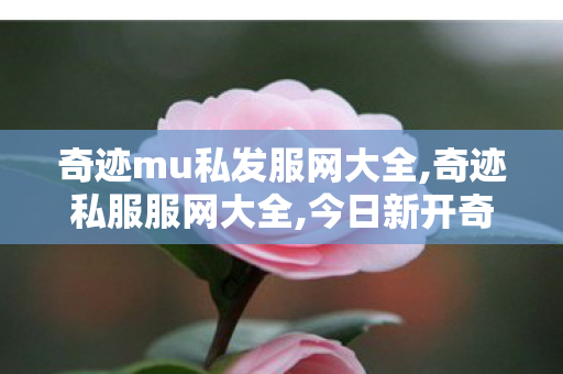 奇迹mu私发服网大全,奇迹私服服网大全,今日新开奇迹私服网,奇迹私服服网大全