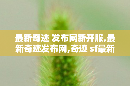 最新奇迹 发布网新开服,最新奇迹发布网,奇迹 sf最新发布网,最新奇迹发布网