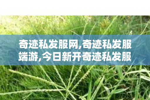 奇迹私发服网,奇迹私发服端游,今日新开奇迹私发服网,奇迹私发服端游