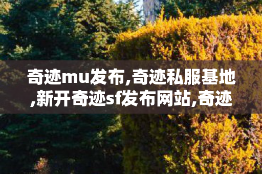 奇迹mu发布,奇迹私服基地,新开奇迹sf发布网站,奇迹私服基地