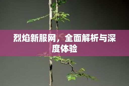 烈焰私服_最新烈焰sf发布网站_烈焰sf新开发布网_烈焰私服最新变态开服