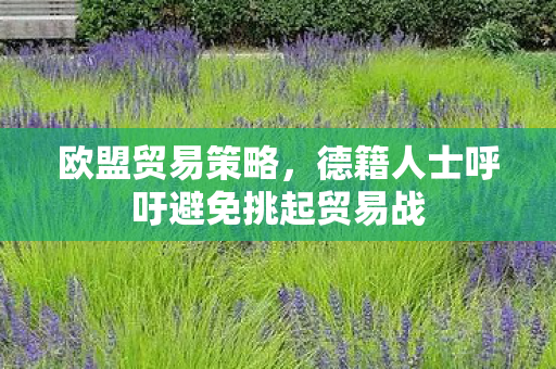 欧盟贸易策略，德籍人士呼吁避免挑起贸易战