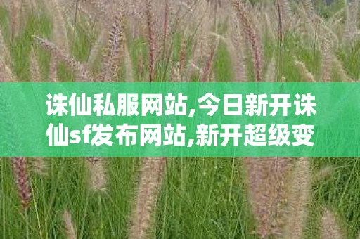 诛仙私服网站,今日新开诛仙sf发布网站,新开超级变态诛仙sf,今日新开诛仙sf发布网站