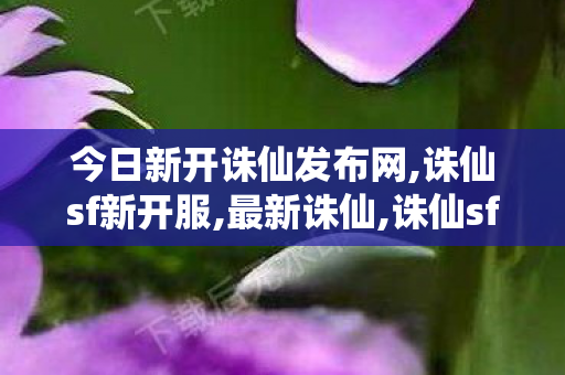 今日新开诛仙发布网,诛仙sf新开服,最新诛仙,诛仙sf新开服