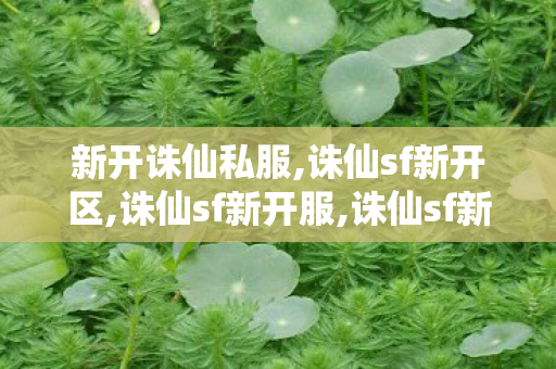 新开诛仙私服,诛仙sf新开区,诛仙sf新开服,诛仙sf新开区